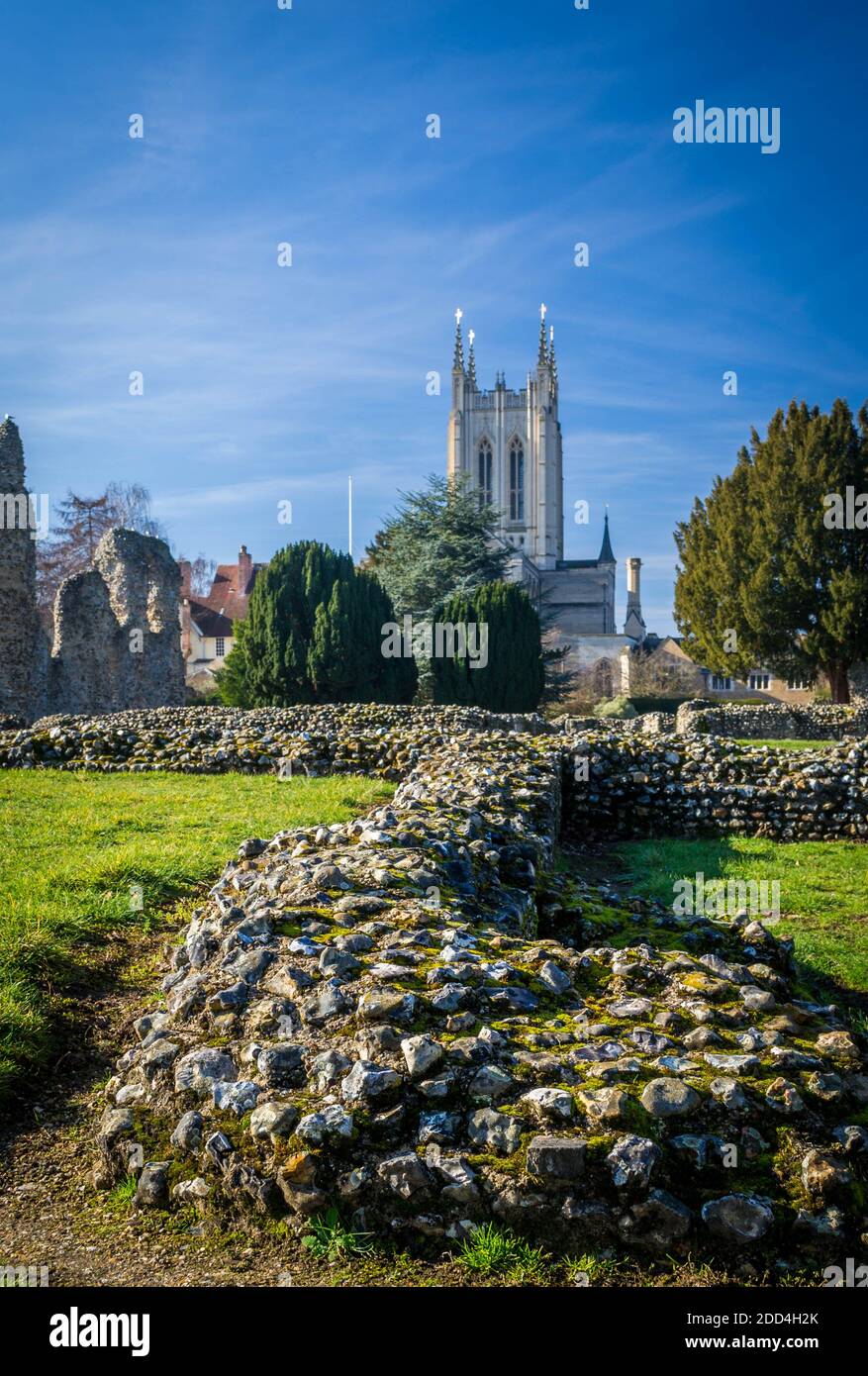 Abbey Gardens in Bury St Edmunds Suffolk England Stockfoto