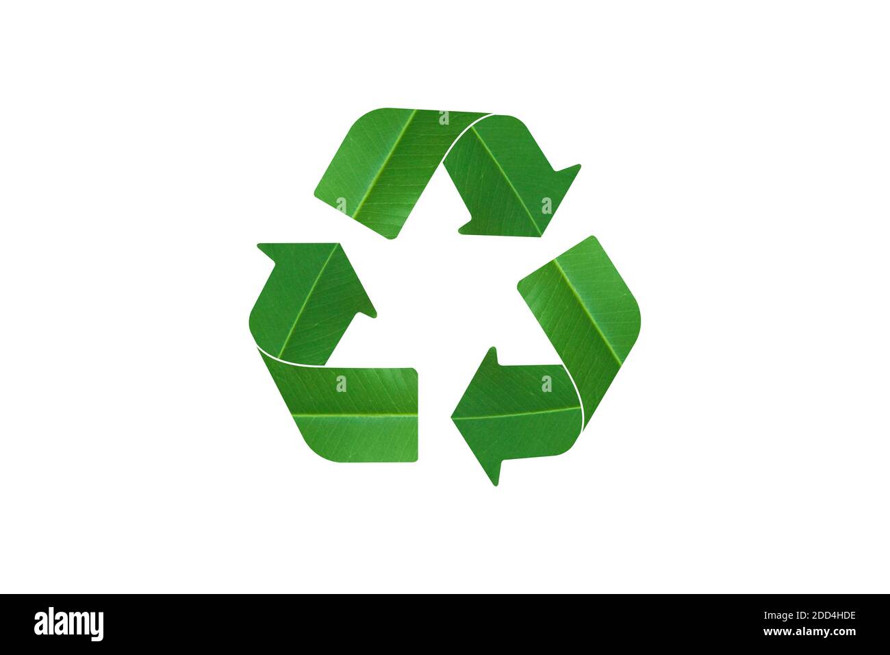 Recycling-Logo-Symbol von einem grünen Blatt, isoliert auf weißem Hintergrund. Mit Clipping-Pfad. Stockfoto