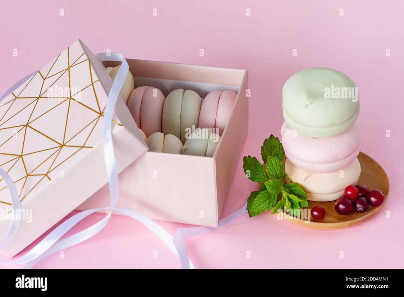 Geschenkbox mit hausgemachten Pastellfarben Marshmallows. Apfel zephyr in runder Form. Leckeres Fruchtdessert auf rosa Hintergrund. Stockfoto