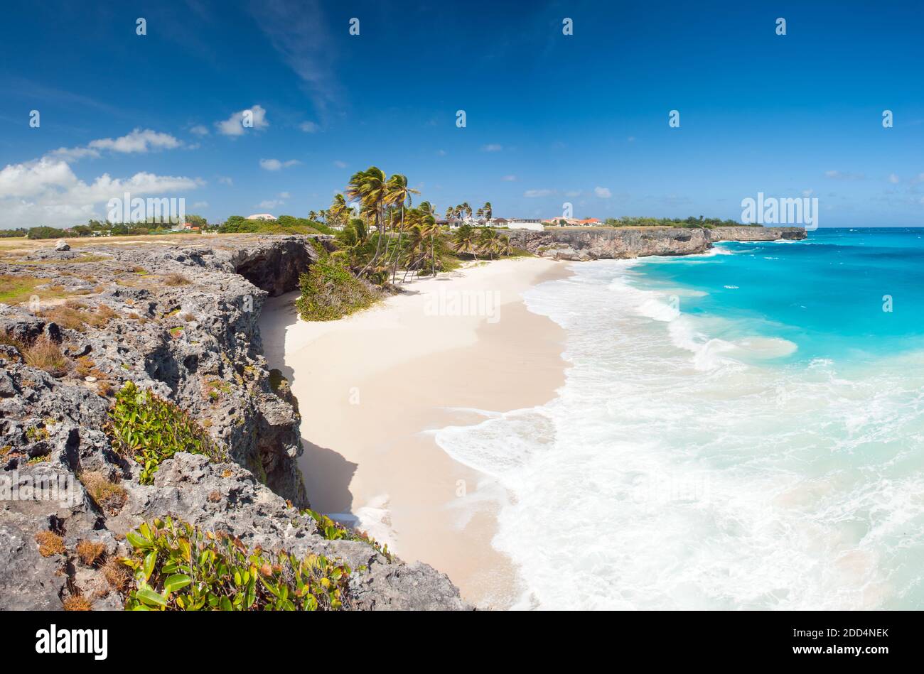 Bottom Bay ist eines der schönsten Strände auf der Karibikinsel Barbados. Es ist ein tropisches Paradies mit Palmen hängen über türkisfarbenen Meer eine Stockfoto