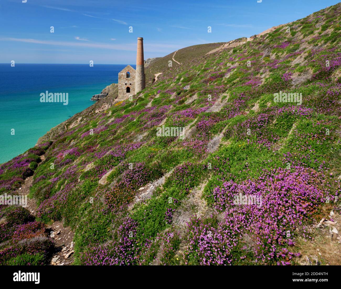 Ruinen des Towanroath Maschinenhauses in Wheal Coates, St. Agnes, Cornwall. Stockfoto