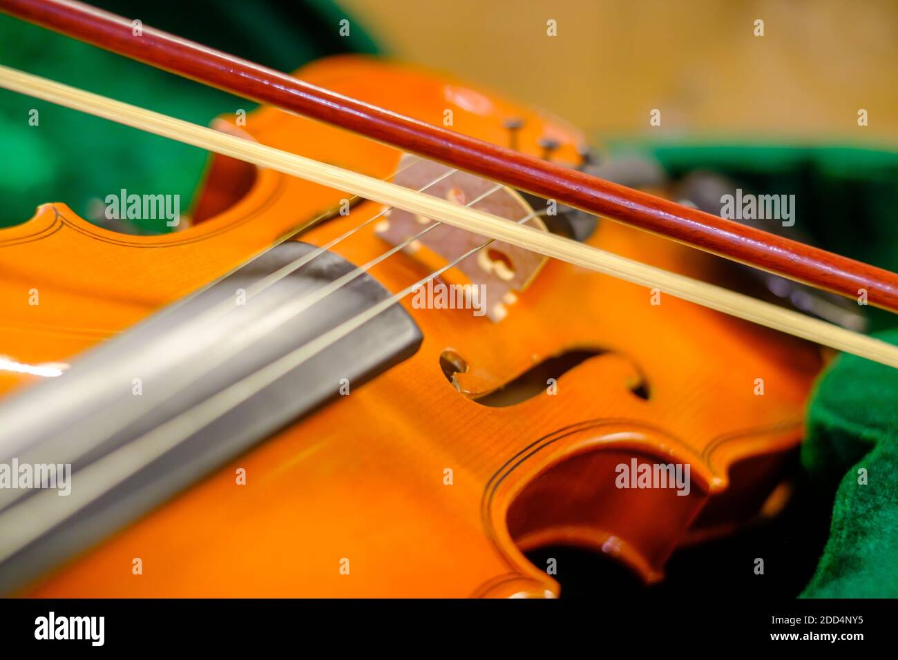 Schleife auf klassischer Violine in Box Stockfoto