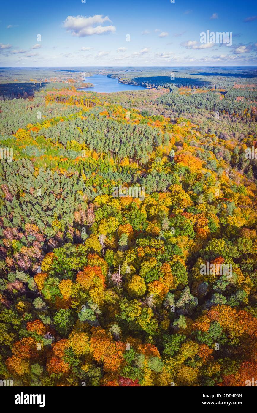 Luftaufnahme vertikalen Panoramablick auf lebendige Farben Herbst Wald und Entfernter See Stockfoto
