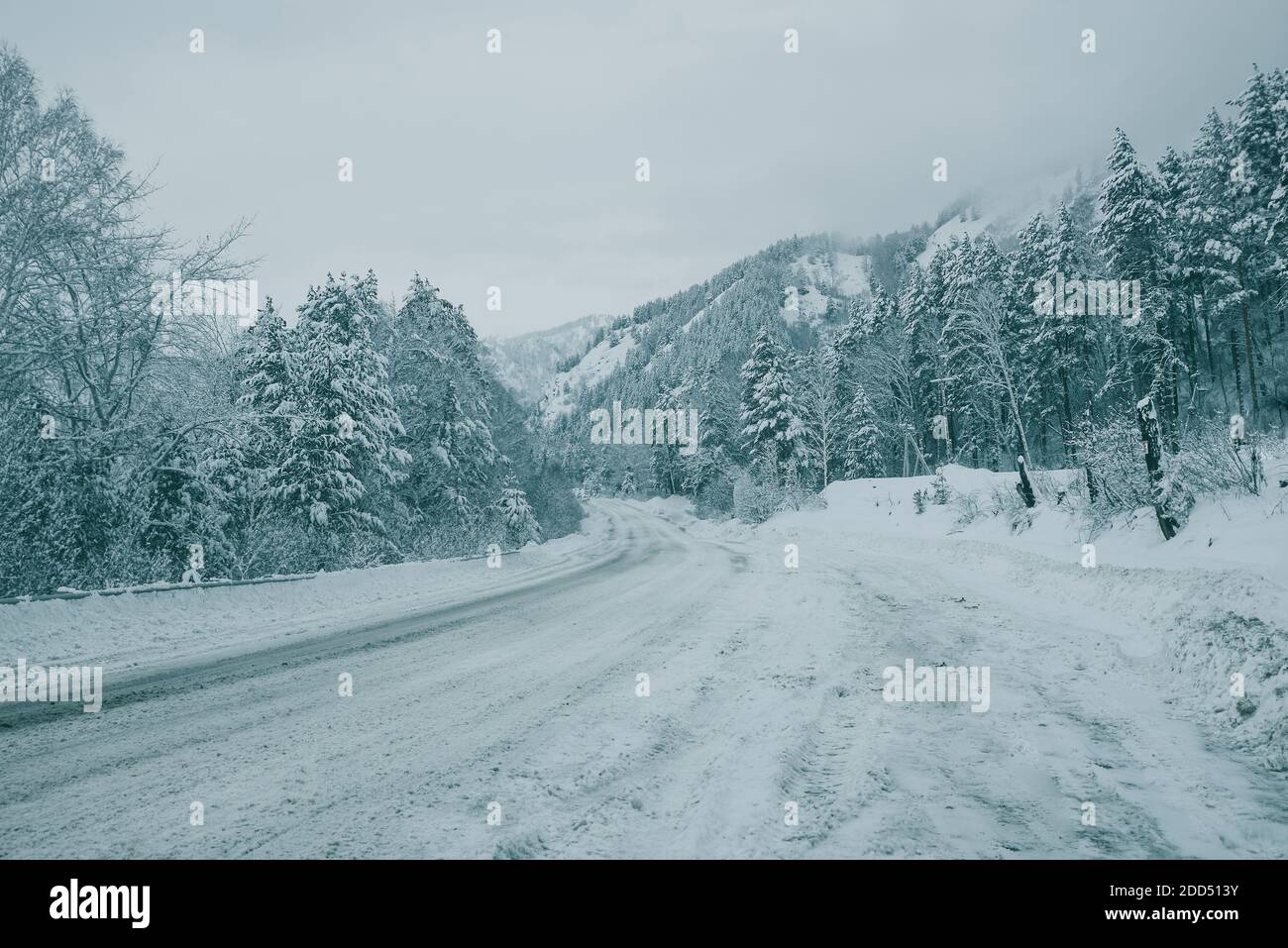 Winterlandschaft mit einer Bergstraße im Schnee zwischen Bergen und einem Tannenwald. Straßenvertrieb, Schnee. Wintermärchen Stockfoto