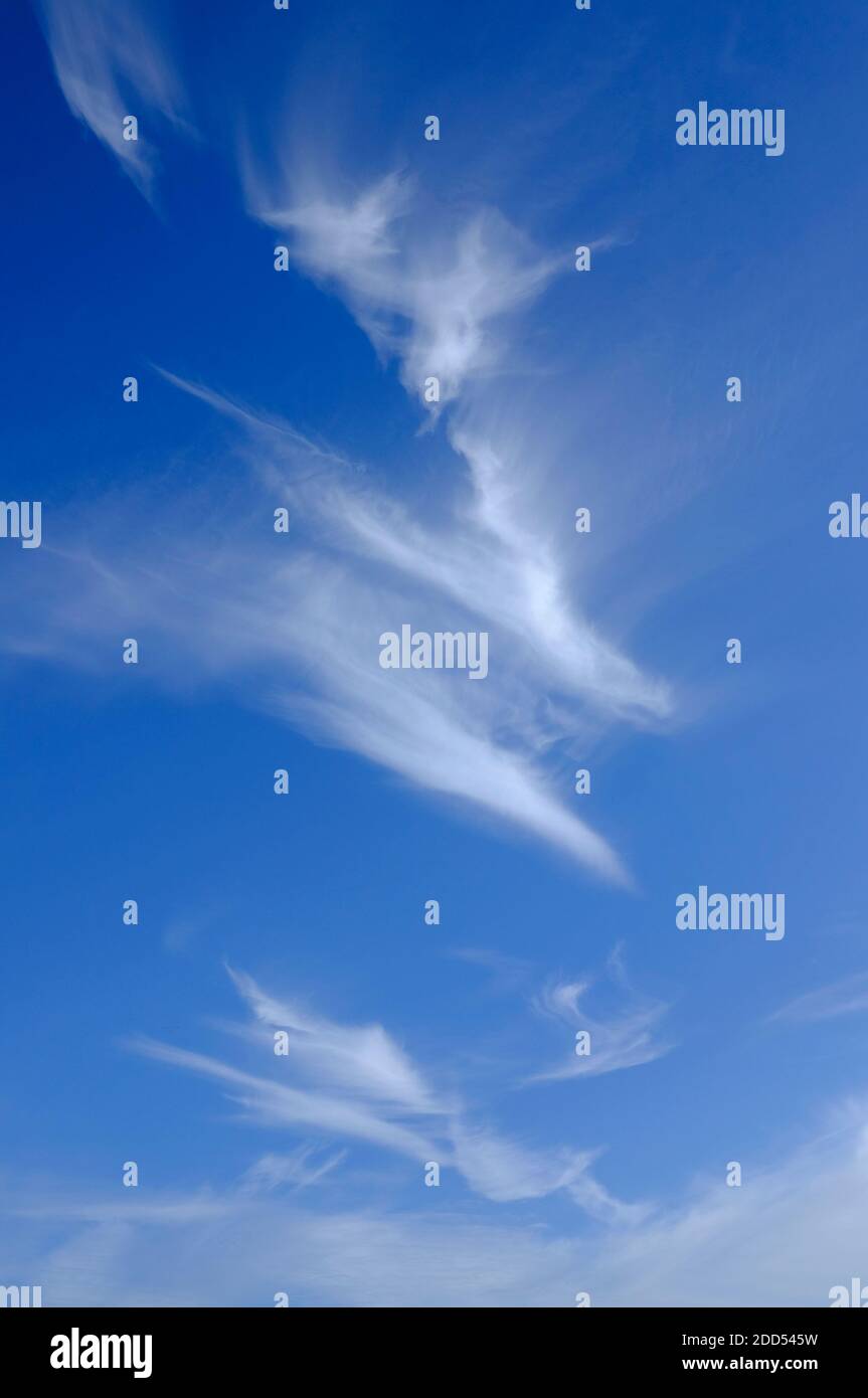 Weiße Wolken am hellblauen Himmel, norfolk, england Stockfoto