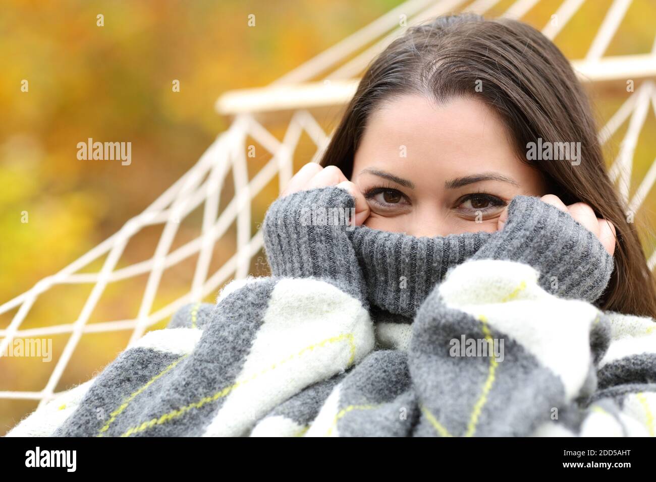 Glückliche Frau spähen vom Pullover auf einer Hängematte im Herbst In einem Wald Stockfoto
