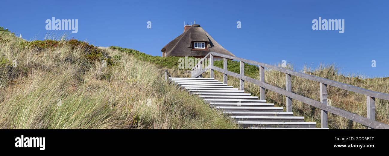 Geographie / Reisen, Deutschland, Schleswig-Holstein, Sylt, Schritte in den Dünen mit Reetdachhaus, Ho, Additional-Rights-Clearance-Info-Not-available Stockfoto