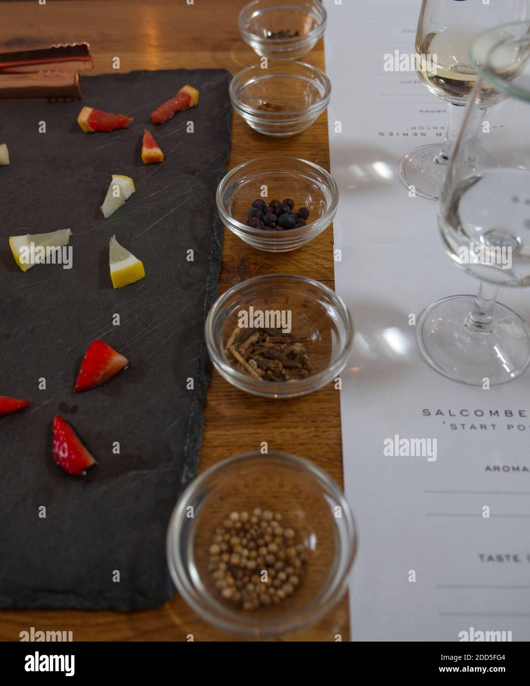 Salcombe Gin Distillary. Das Bootshaus, Salcombe Town. Gin Tasting, Bar, Fish Quay am Kingsbridge Estuary. Küstenstadt. Botanicals, Gin School, Stockfoto