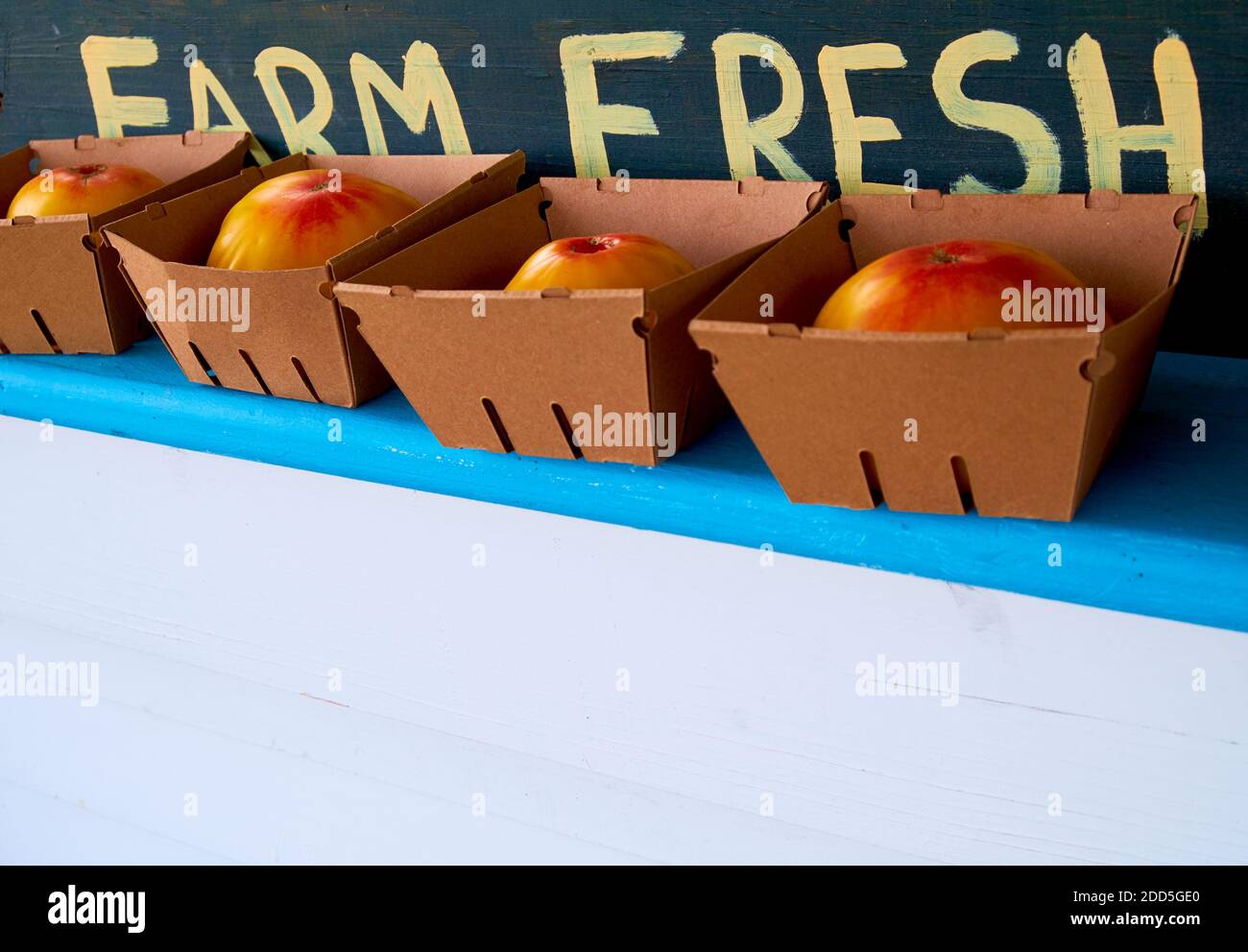 Ein handbemaltes Schild mit der Aufschrift Farm Fresh mit riesigen, roten, reifen Tomaten. An einem Gemüsestand am Straßenrand auf einem Bauernhof in Lissabon, Maine. Stockfoto