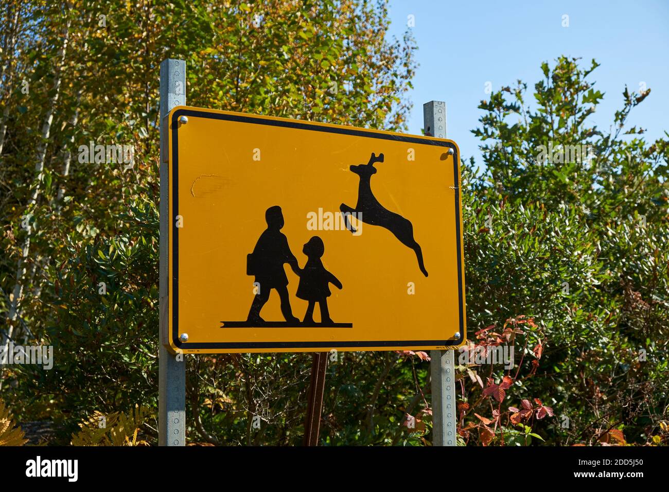 Ein gelbes Straßenwarnschild mit einer lustigen Gegenüberstellung von Schulkindern und springenden Hirschen, die grafische Bilder kreuzen. Auf Deer Isle, Maine. Stockfoto