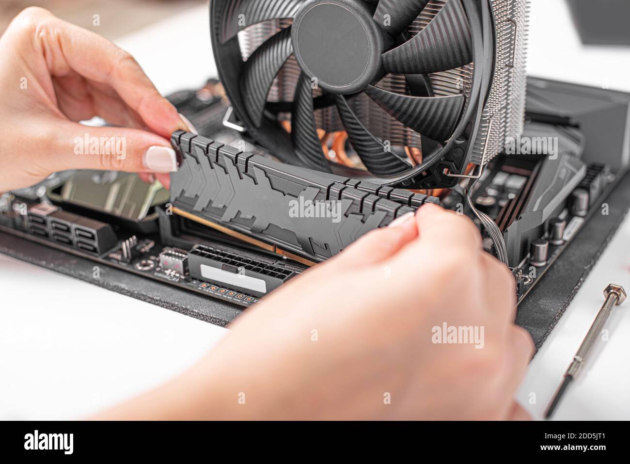 Installieren von Arbeitsspeicher in den PC. Stockfoto