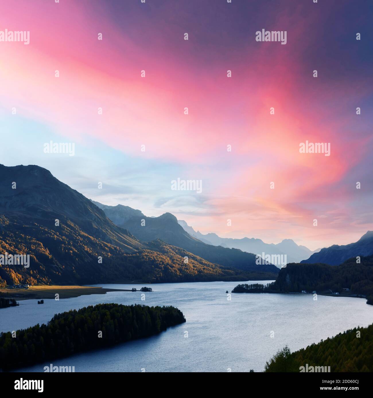 Luftaufnahme auf Herbst Silsersee (Silsersee) in den Schweizer Alpen. Bunte Wald mit orange Lärche. Schweiz, Maloja Region Oberengadin. Landschaftsfotografie Stockfoto
