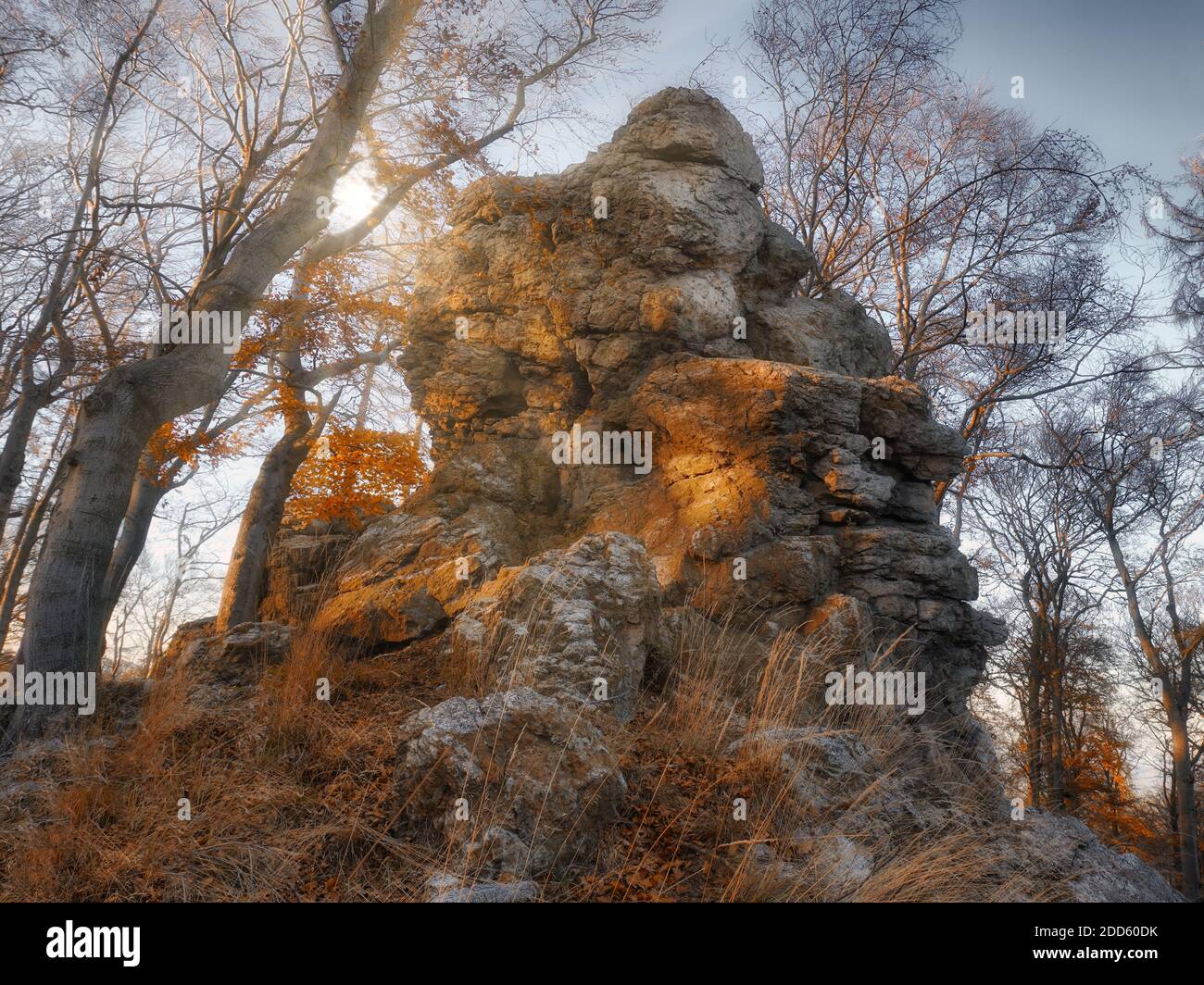 Mystische Felsformation im herbstlichen Wald, wunderschön sonnenbeschienen von der Novembersonne. Stockfoto