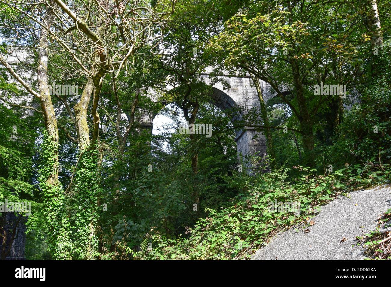 Teffry Viadukt, Luxulyan Valley 100920 Stockfoto