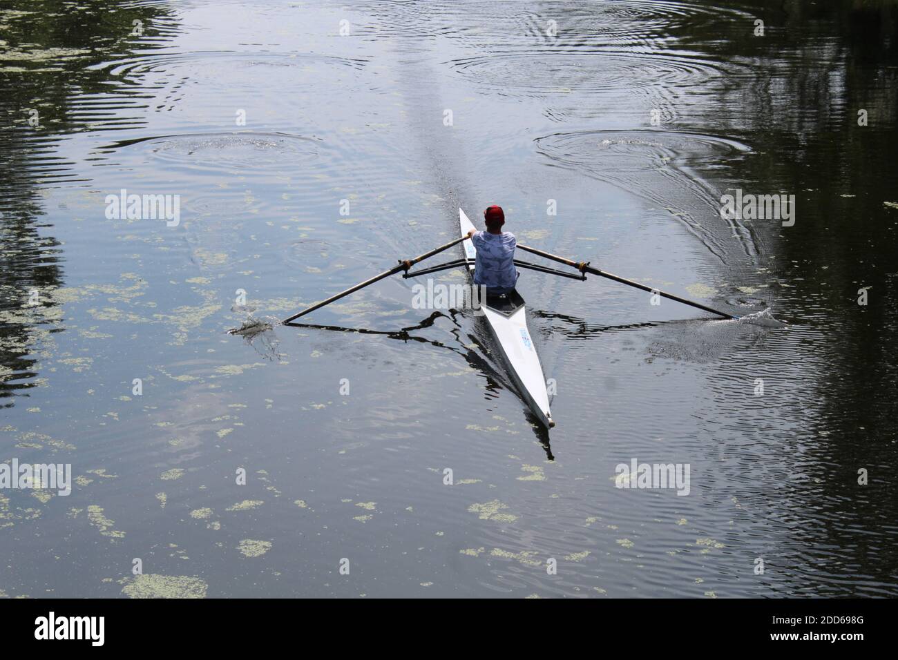 Sommer Rudern Sculling Stockfoto