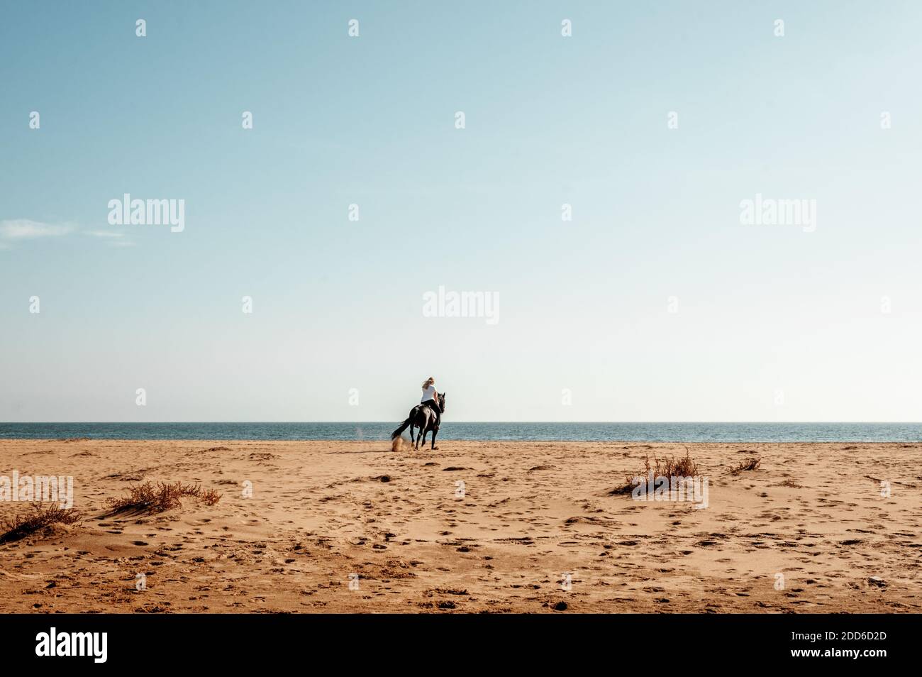 Frau auf einem Pferd am Strand Stockfoto