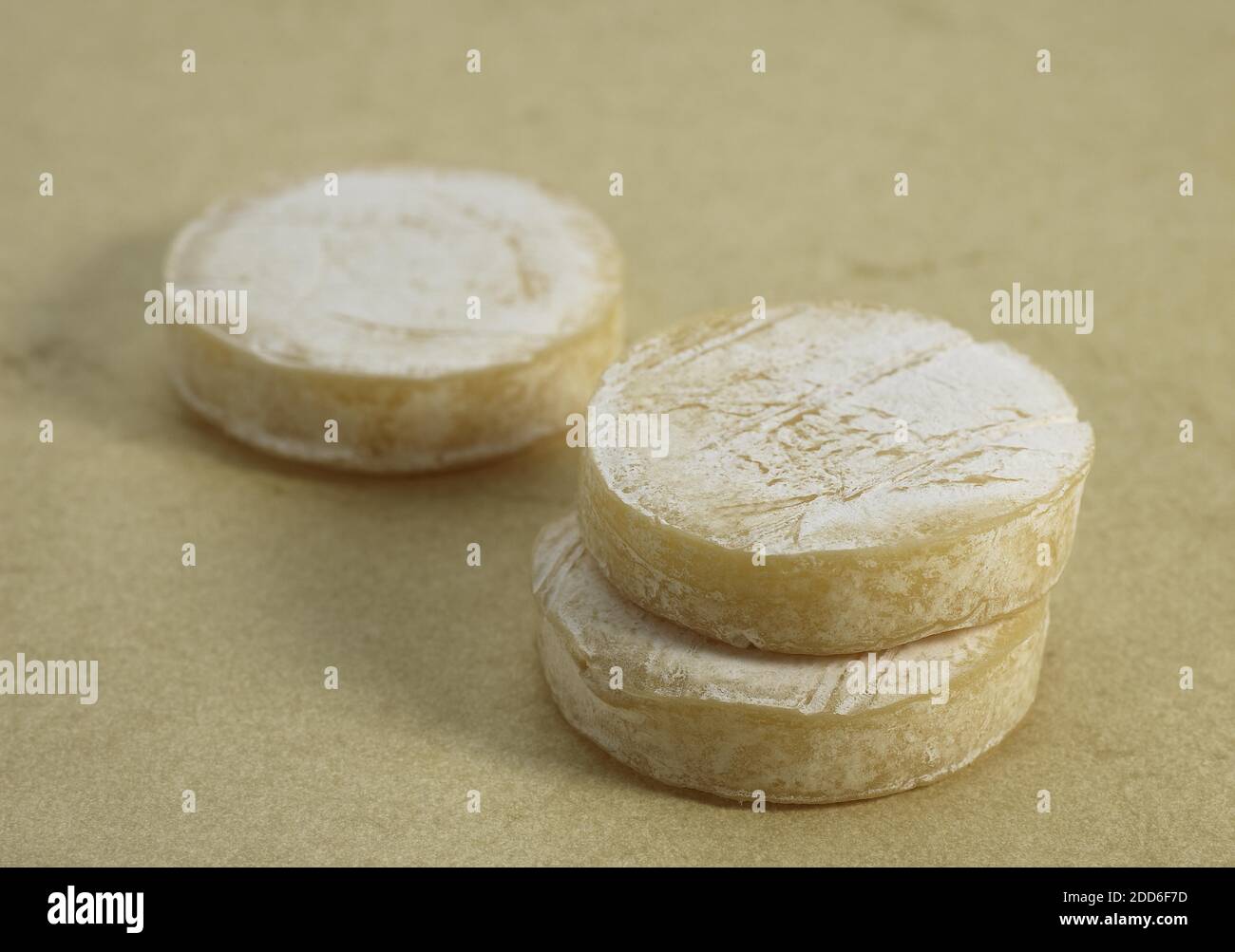 Französische Käse genannt Rocamadour, Käse mit Ziegenmilch hergestellt Stockfoto