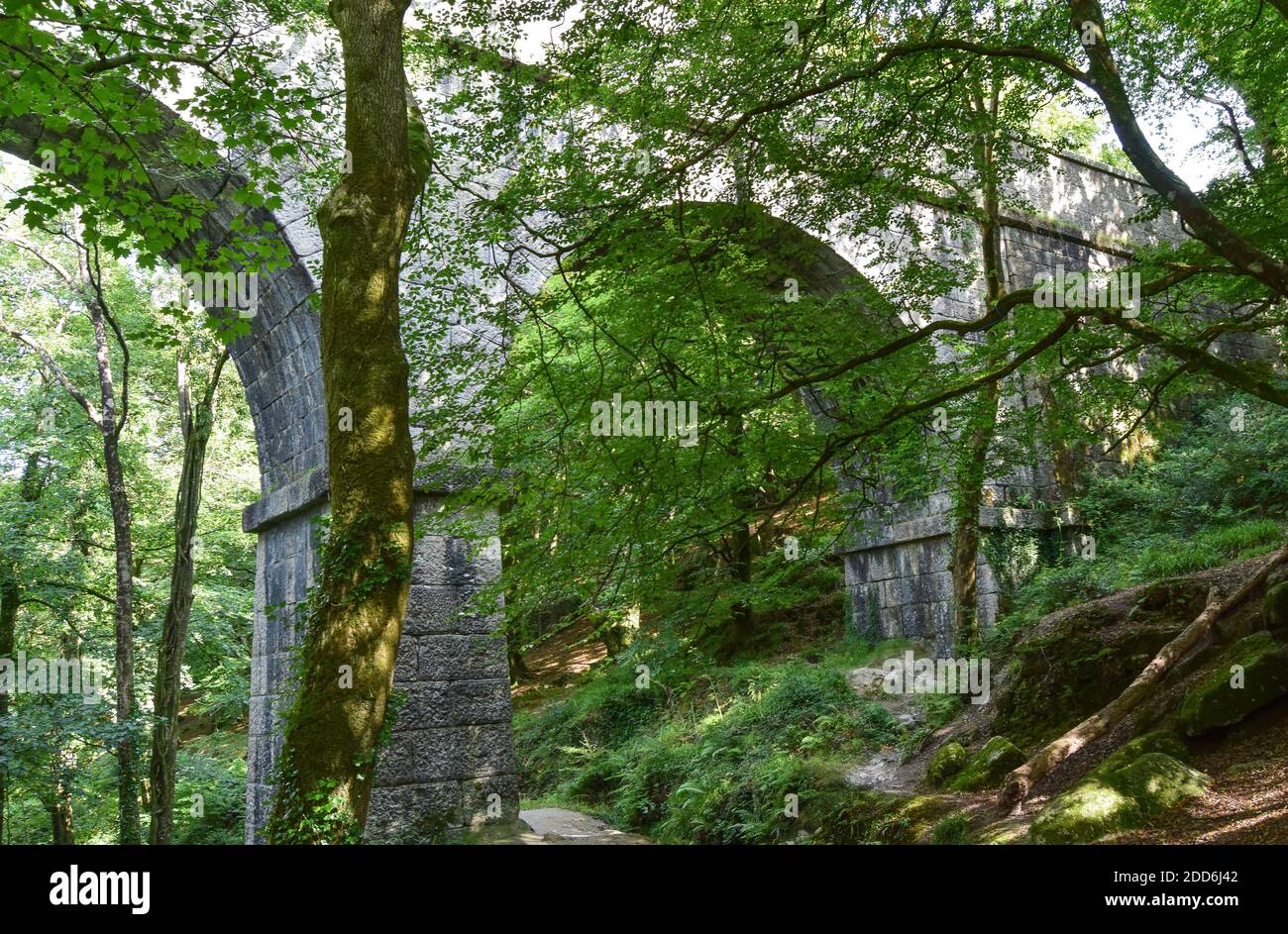 Teffry Viadukt, Luxulyan Valley 100920 Stockfoto