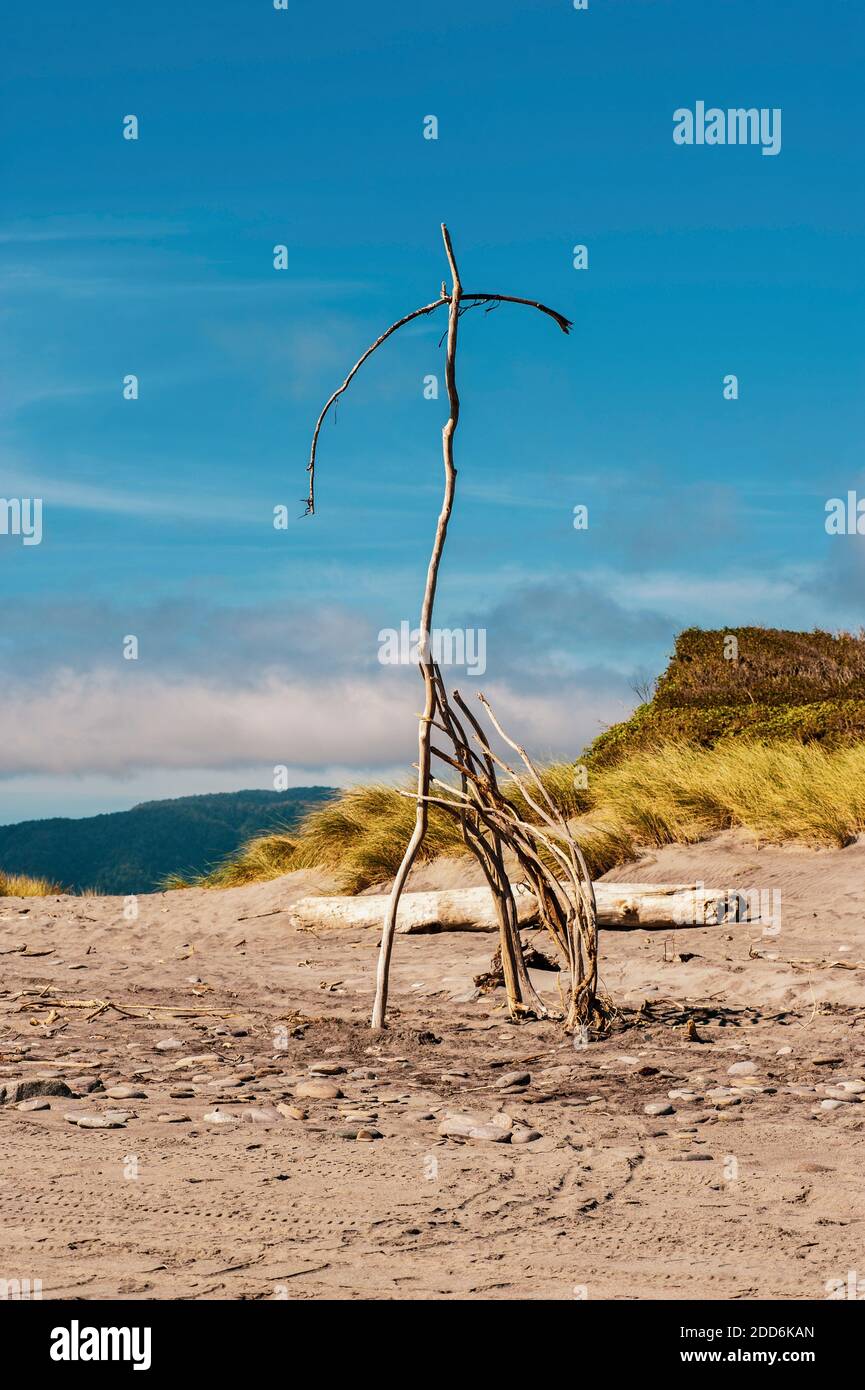 Driftwood Art Sculpture am Ross Beach, Westküste, Südinsel, Neuseeland Stockfoto