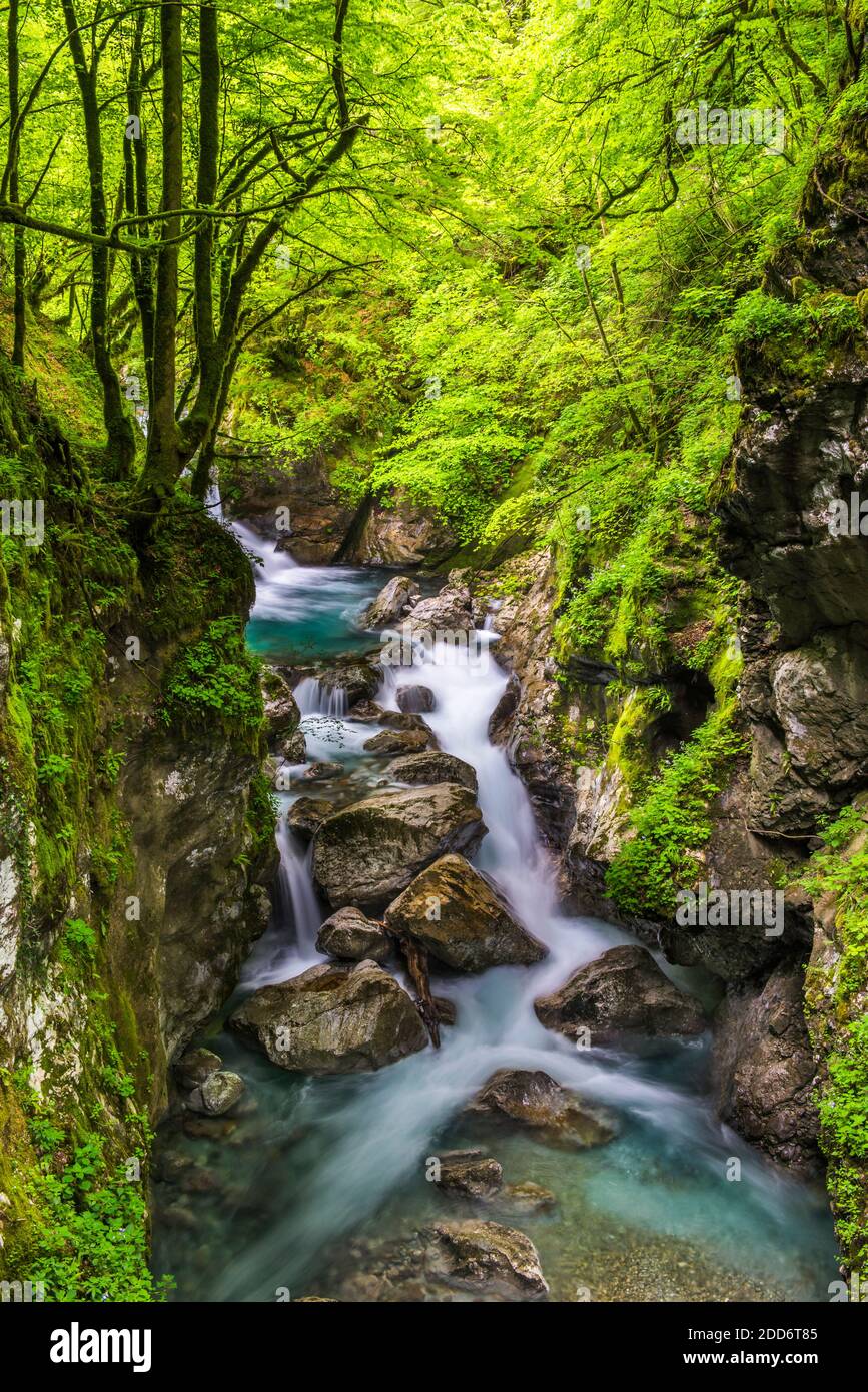 Schlucht Des Flusses Zadlascica, Tolminschlucht, Nationalpark Triglav (Nationalpark Triglavski Narodni), Slowenien, Europa Stockfoto