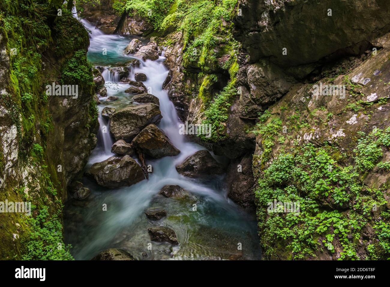 Schlucht Des Flusses Zadlascica, Tolminschlucht, Nationalpark Triglav (Nationalpark Triglavski Narodni), Slowenien, Europa Stockfoto