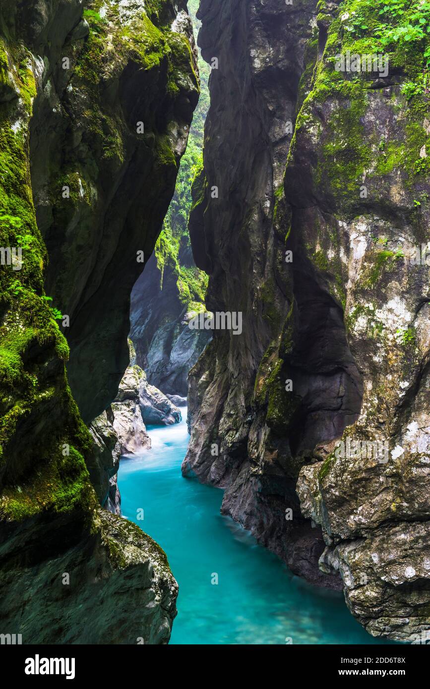 Tolminka River Canyon, Tolmin Gorges, Triglav National Park (Triglavski Narodni Park), Slowenien, Europa Stockfoto