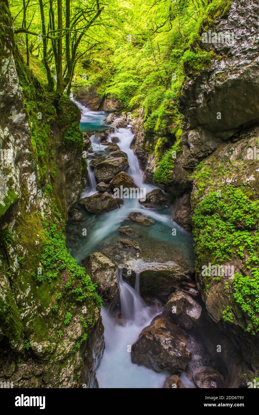 Schlucht Des Flusses Zadlascica, Tolminschlucht, Nationalpark Triglav (Nationalpark Triglavski Narodni), Slowenien, Europa Stockfoto
