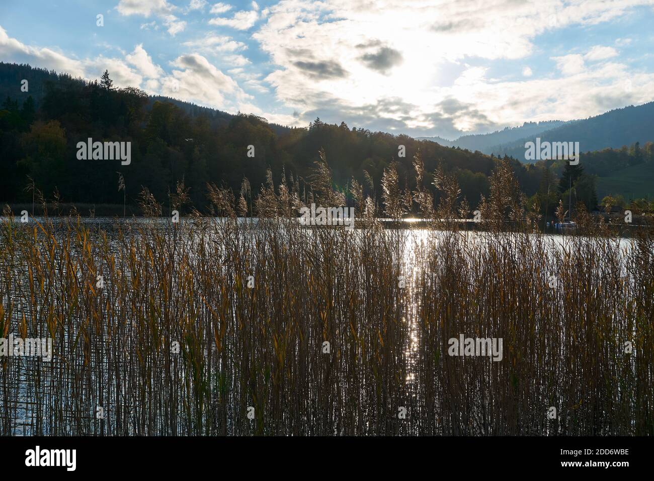 Schliersee bei Sonnenuntergang in Miesbach Stockfoto