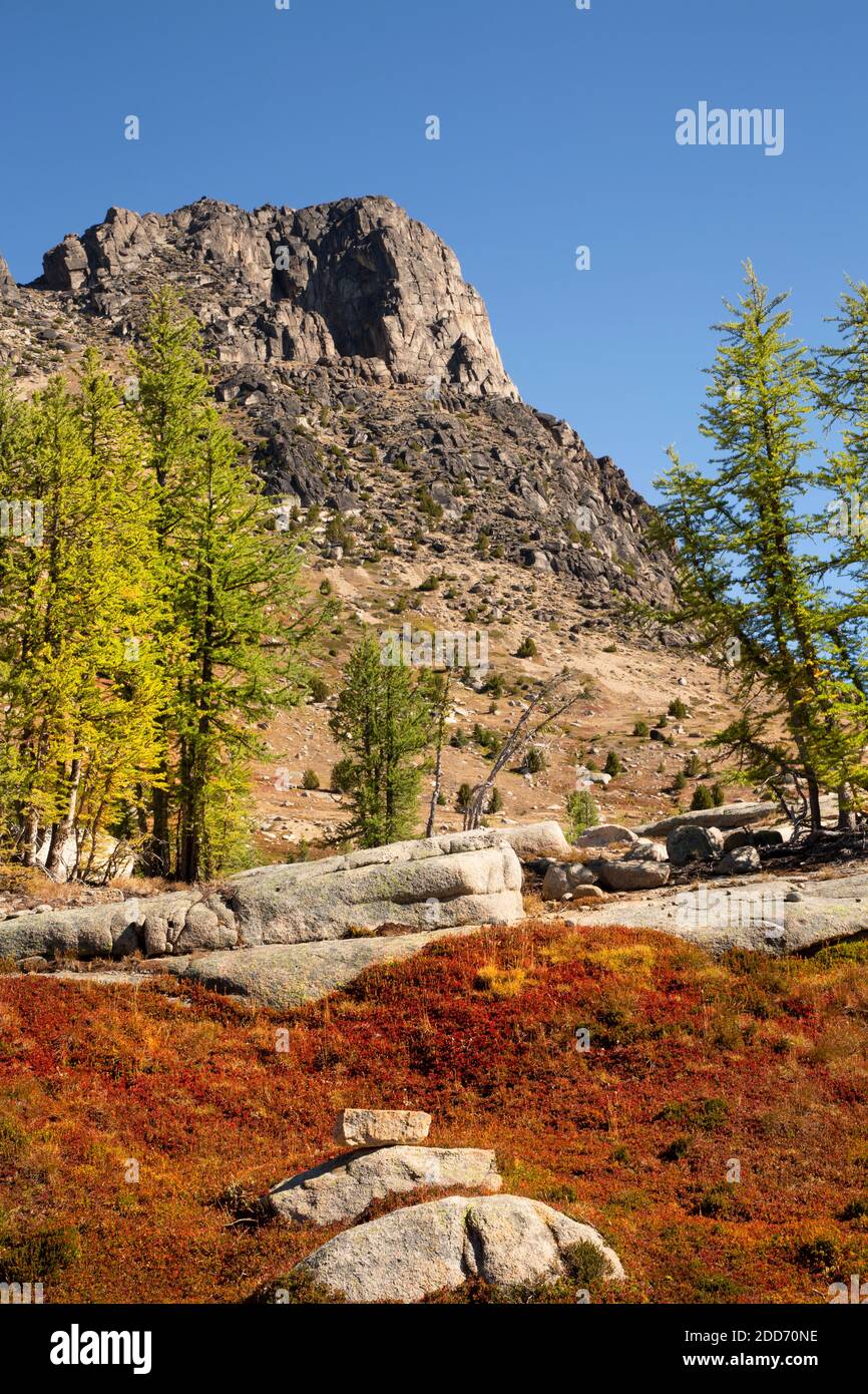 WA18511-00...WASHINGTON - Herbstfärbewiese unter dem Cathedral Peak in der Pasayten Wildnis des Okanogan National Forest. Stockfoto