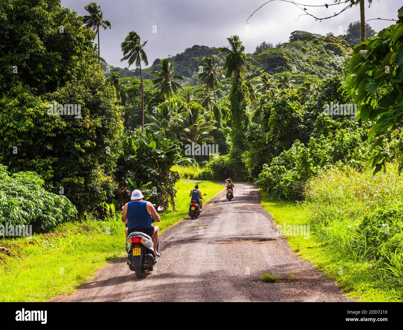 Moped auf der inneren Kreisstraße zu Wigmore's Wasserfall, Rarotonga, Cook Islands Stockfoto