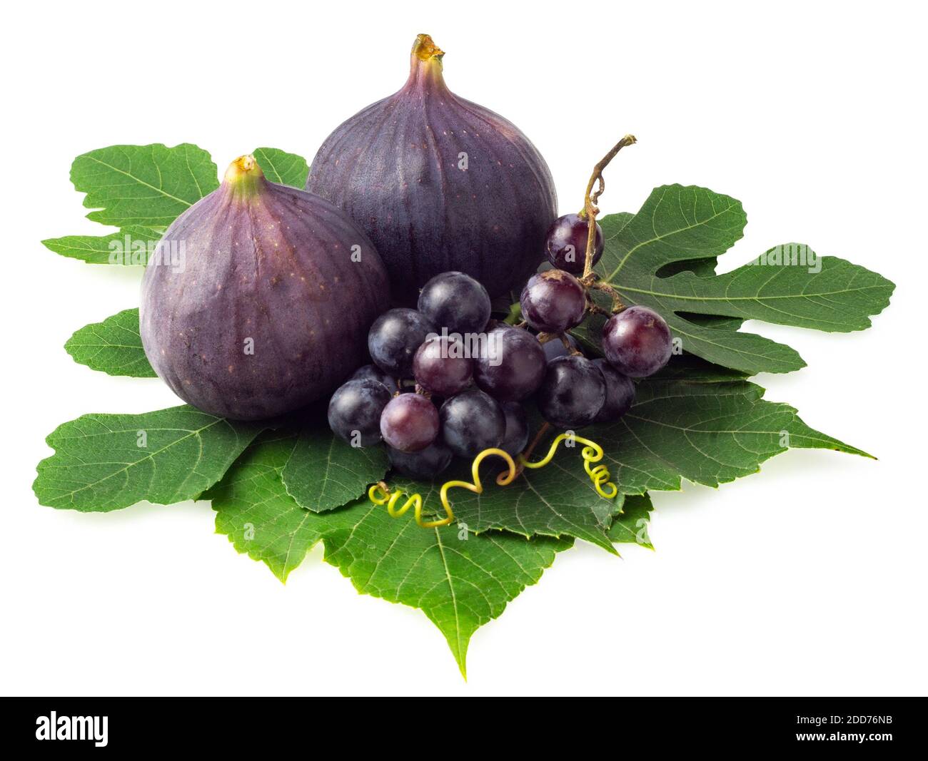 Trauben und ganze Feigen isoliert auf weiß Stockfoto