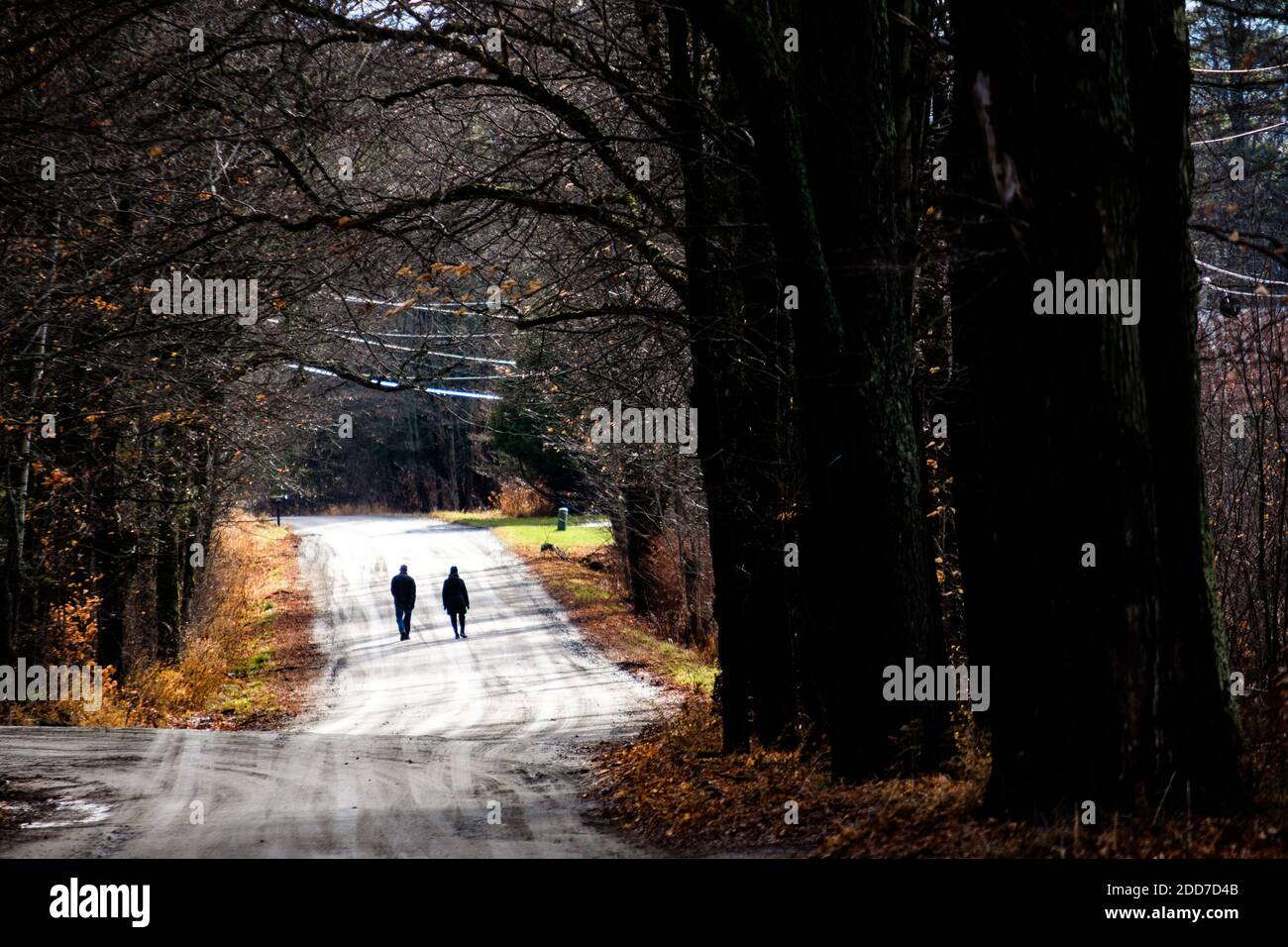 Ein Paar ist auf einer ländlichen Schotterstraße, East Montpelier, VT, New England, USA, unterwegs. Stockfoto