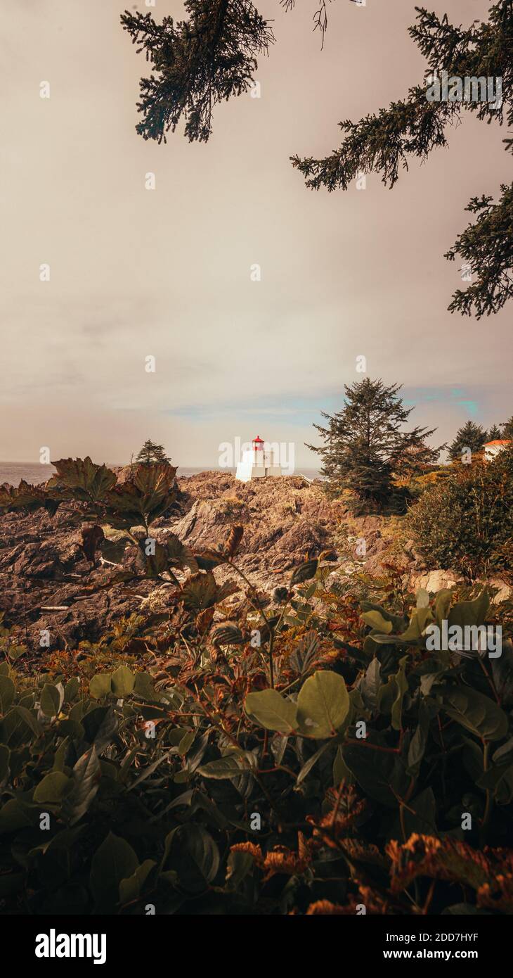 Amphitrite Point Leuchtturm in Uclulet Stockfoto