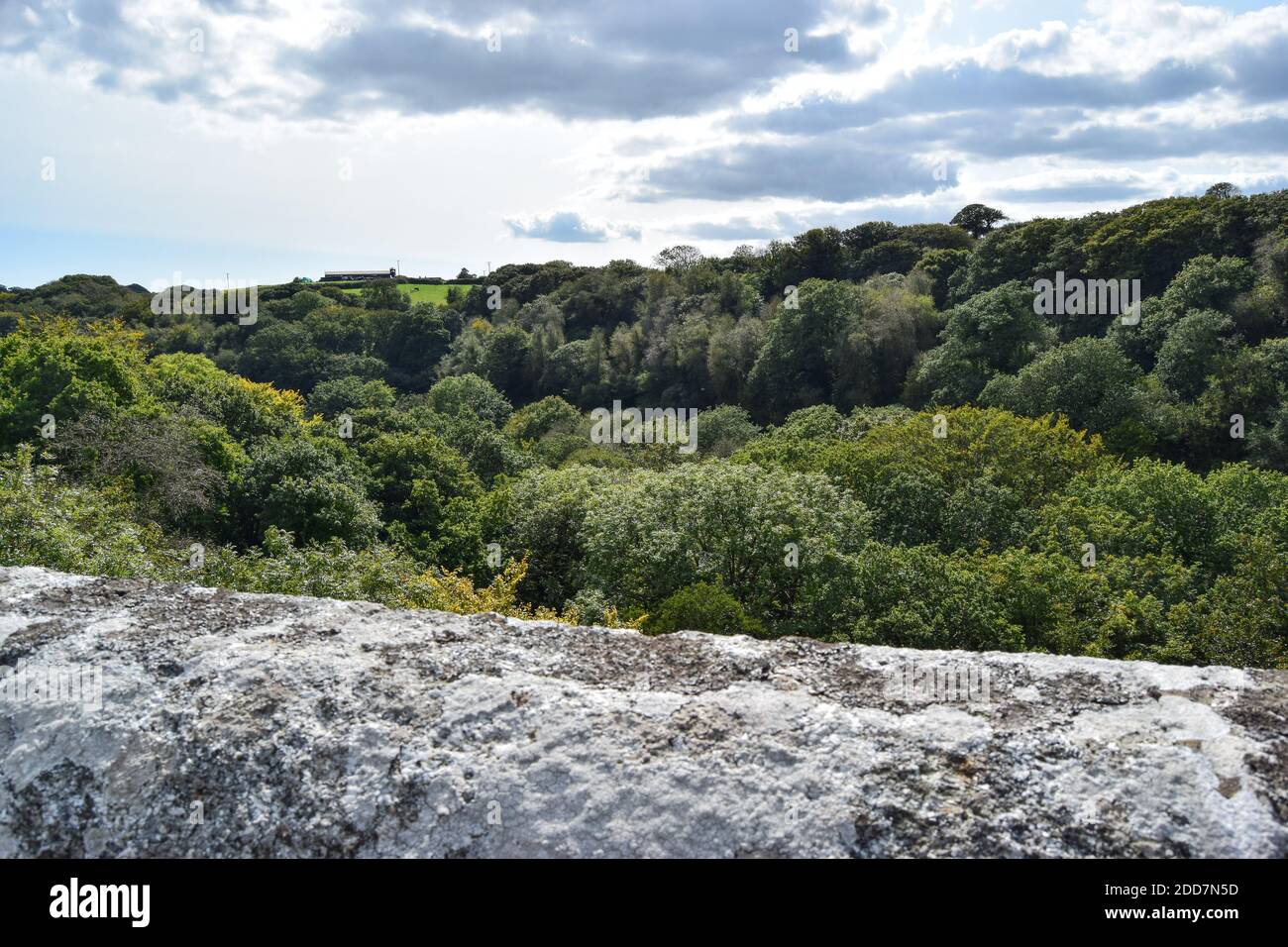 Teffry Viadukt, Luxulyan Valley 100920 Stockfoto