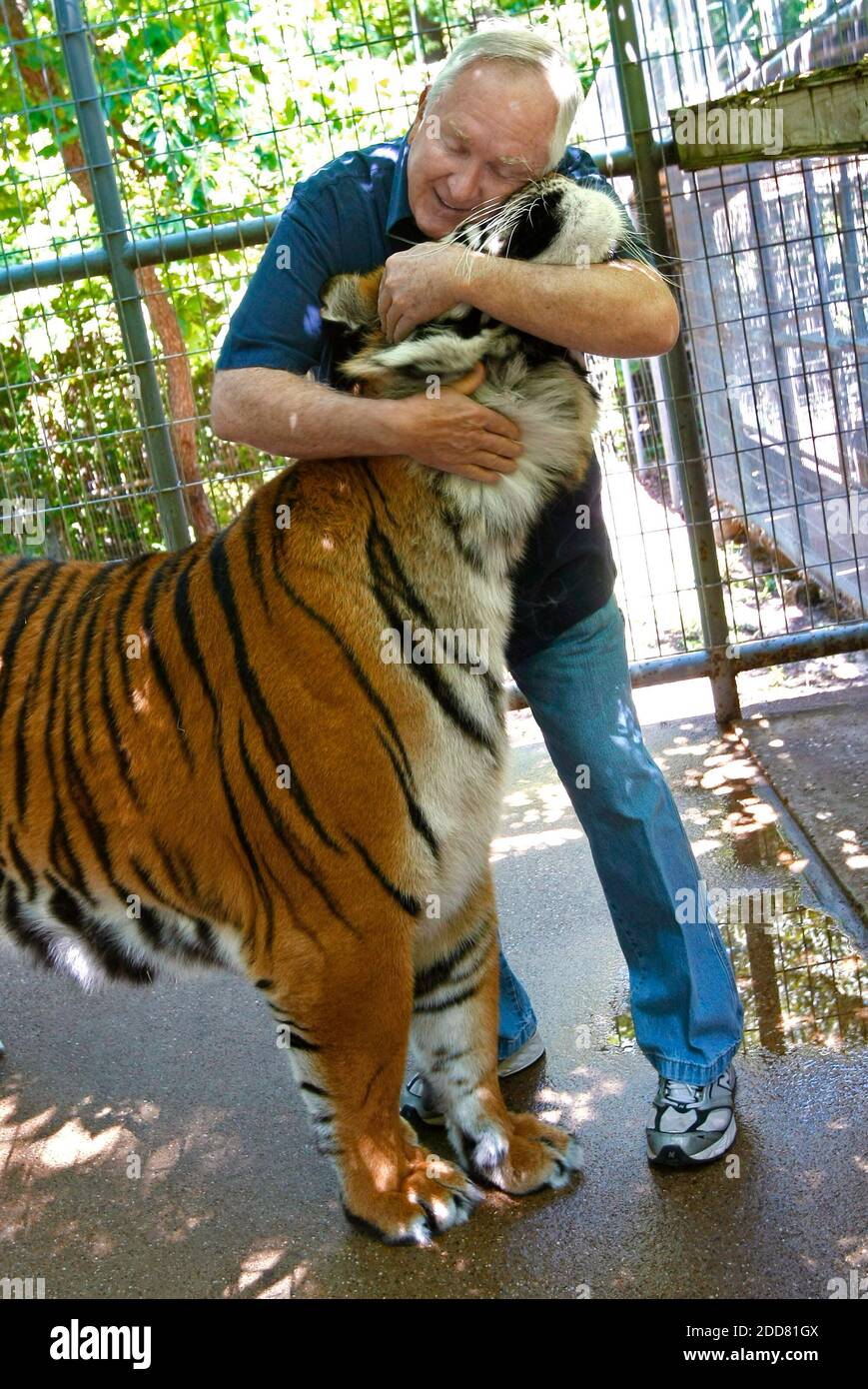 Bill Rathburn, ehemaliger Polizeichef von Dallas, umarmt Shahzada, einen von fünf Tigern, die am 29. April 2008 auf seinem Land in der Nähe von Mineola, Texas, gehalten wurden. Er unterstützt das neue Tigerprojekt, aber andere in und um die Stadt East Texas sorgen sich um ihre Sicherheit. Foto von Rodger Mallison/Fort Worth Star-Telegram/MCT/ABACAPRESS.COM Stockfoto