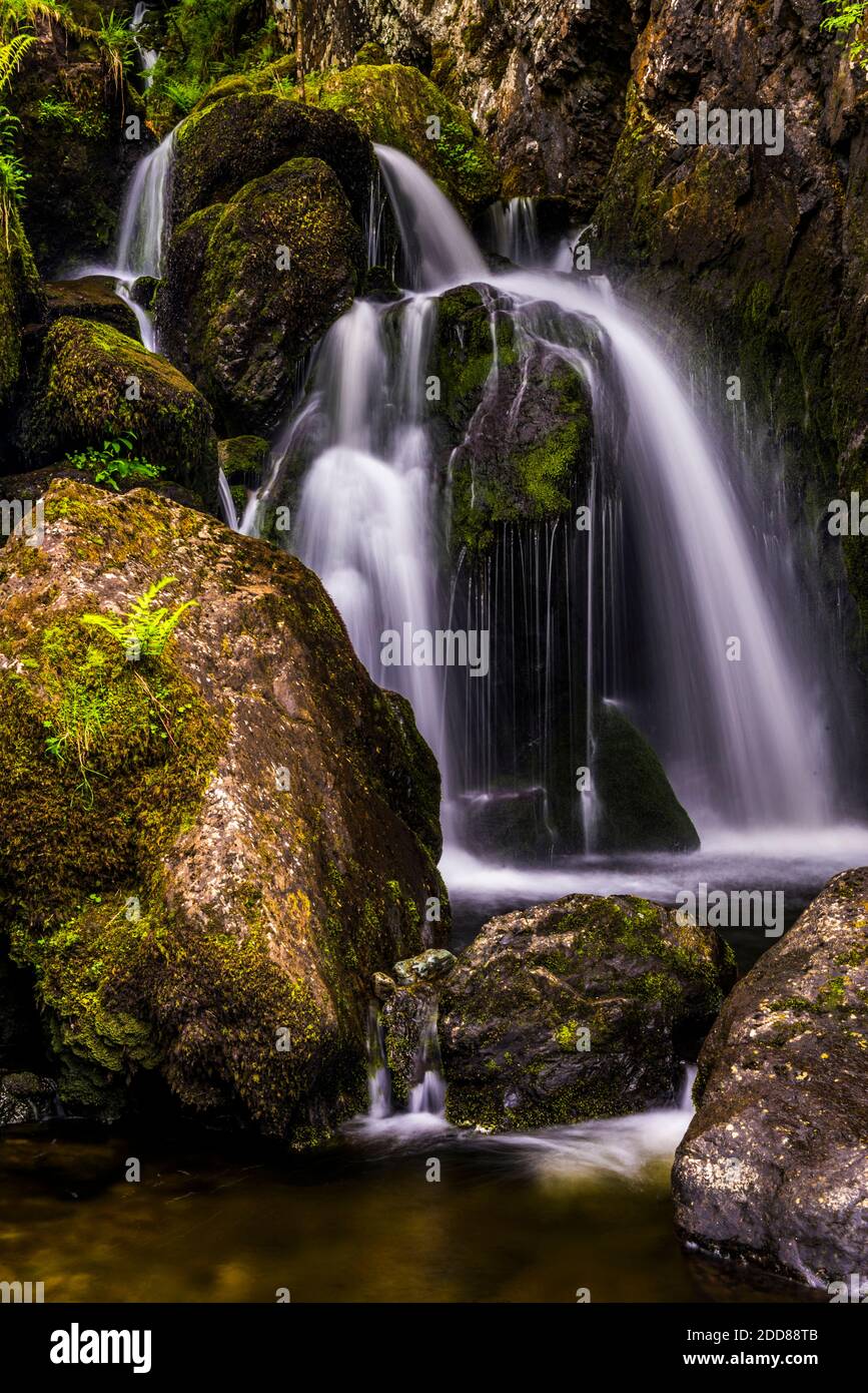 Lodore Falls, ein Wasserfall in der Nähe von Keswick und Derwent Water, Lake District, Cumbria, England, Großbritannien, Europa Stockfoto
