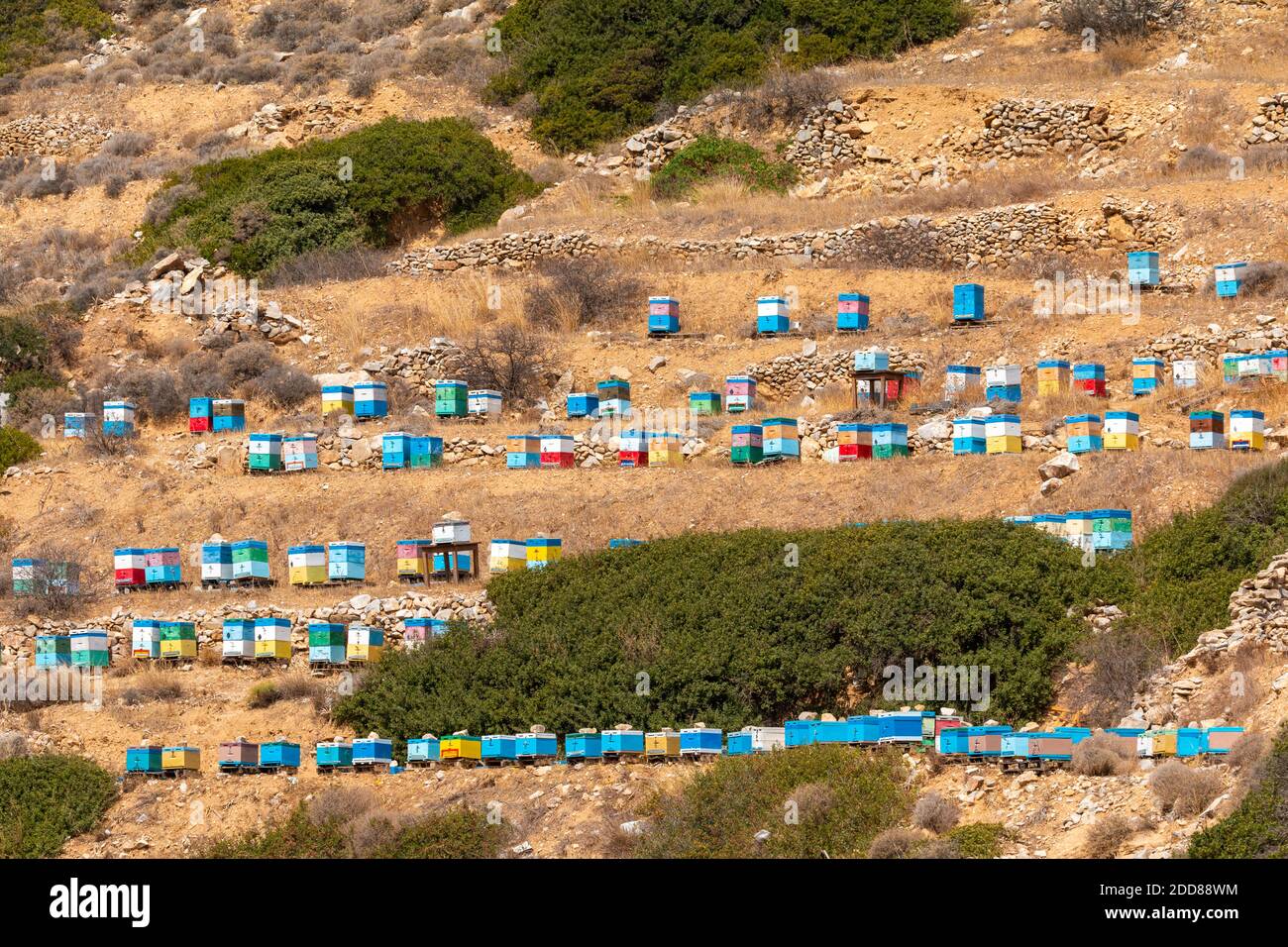 Bunte Bienenstöcke auf einem Berghang auf der Insel iOS in Griechenland, Kykladen-Inseln Stockfoto