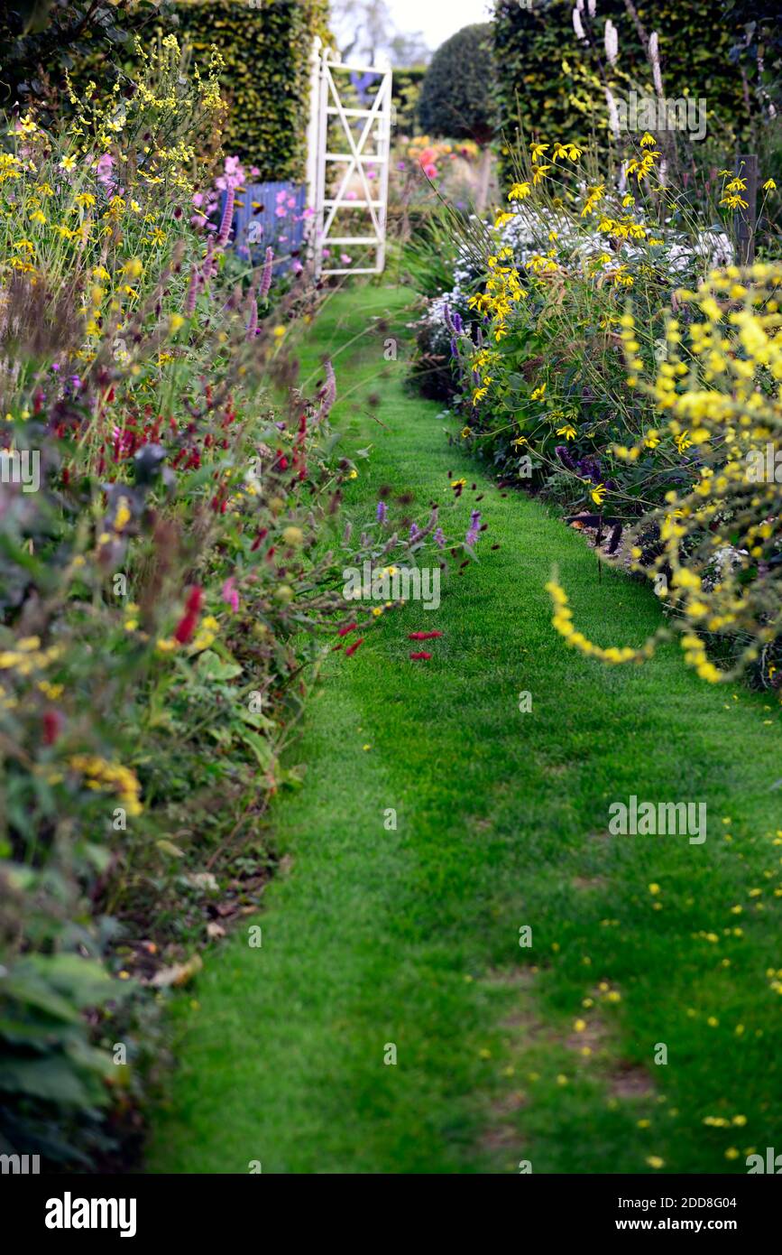 Weißes Metalltor, schmiedeeisernes Tor, Hüttengarten, krautige Ränder, Pfad, Pfad, gemähter Weg, persicaria, rudbeckia, Dahlia, Fuchshandschuh, Schafgarbe, lila, rot, Stift Stockfoto