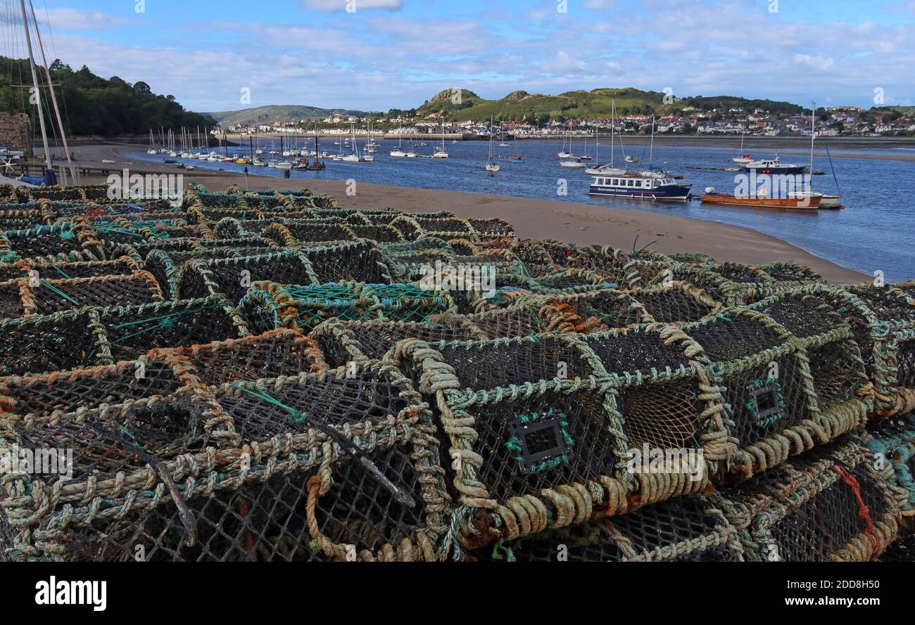 Hummertöpfe, am Hafen, River Conwy, Conway Quay, Gwynedd, North Wales, Großbritannien Stockfoto
