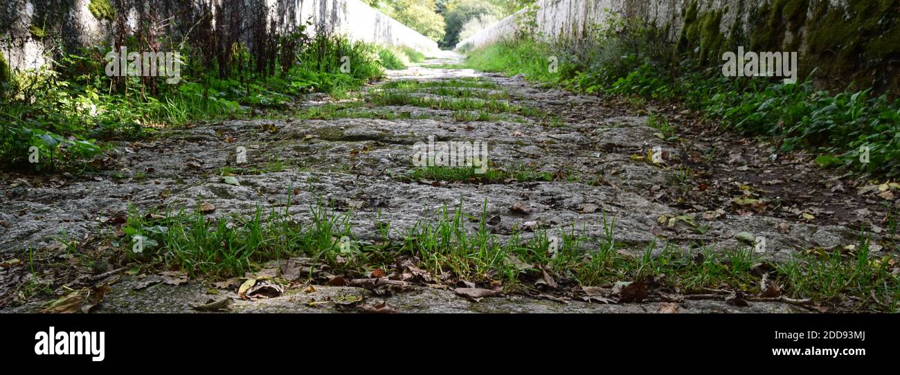 Teffry Viadukt, Luxulyan Valley 100920 Stockfoto