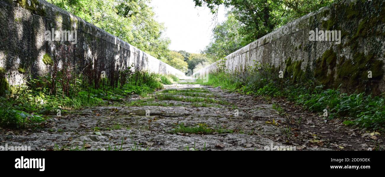 Teffry Viadukt, Luxulyan Valley 100920 Stockfoto