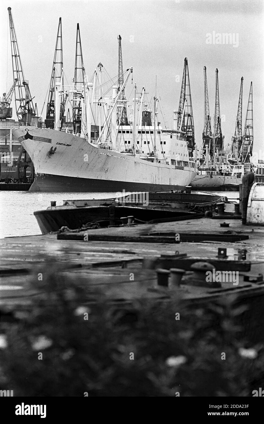 Großbritannien, London, Docklands, Isle of Dogs, West India Docks, 1974. Frachtschiff Cantaloup im Dock. Lastkähnen im Vordergrund. Stockfoto