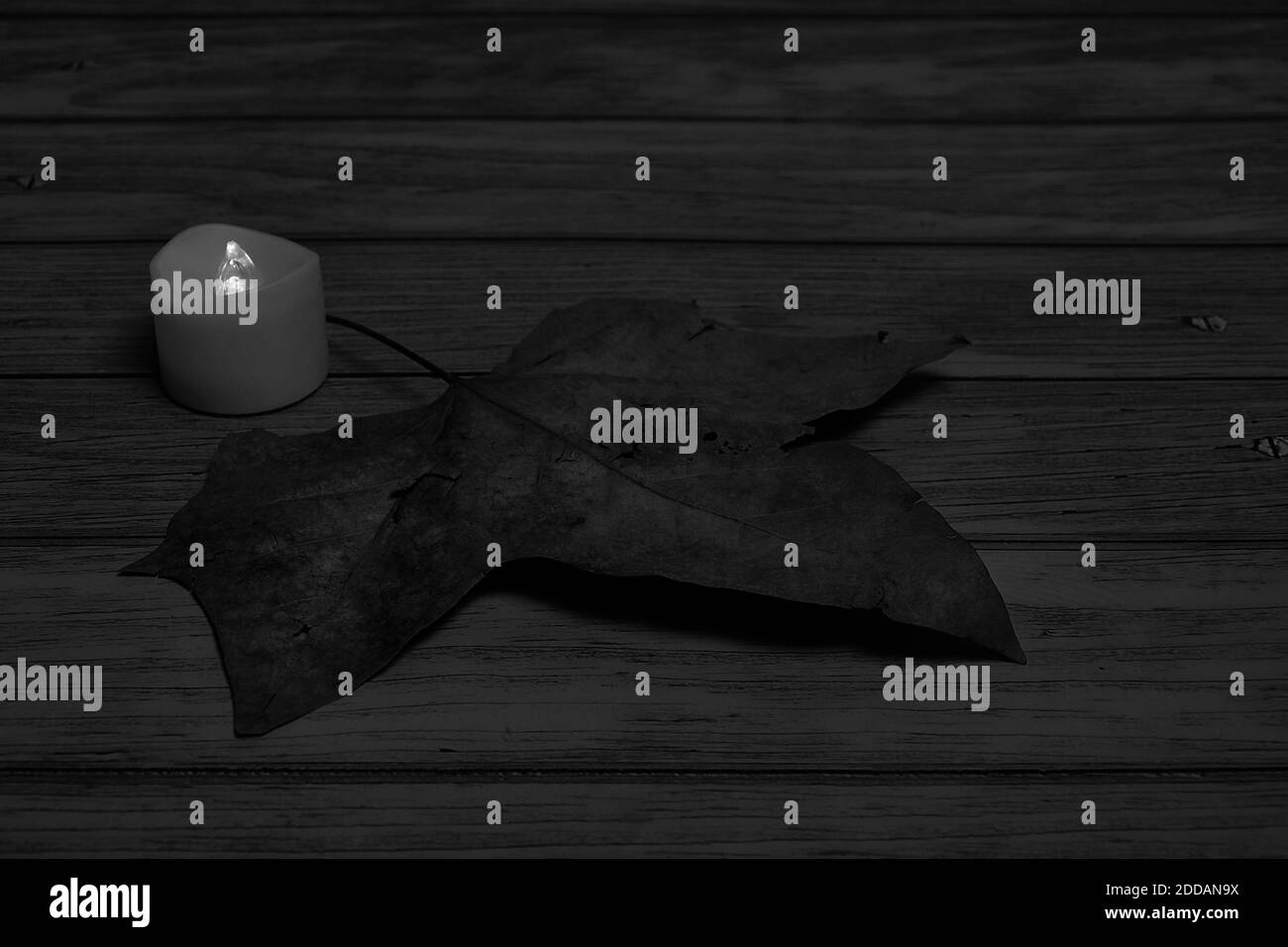 Kerze und herbstliche Blätter auf Holzgrund, schwarz und weiß Stockfoto