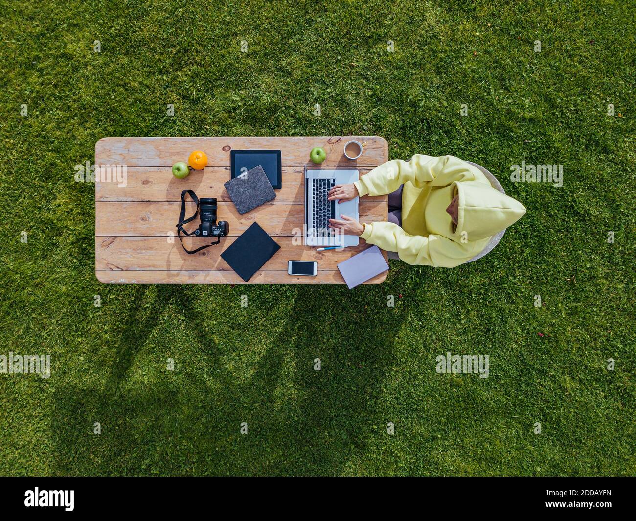 Luftaufnahme einer Frau, die am Couchtisch am Laptop arbeitet Auf grünem Rasen Stockfoto