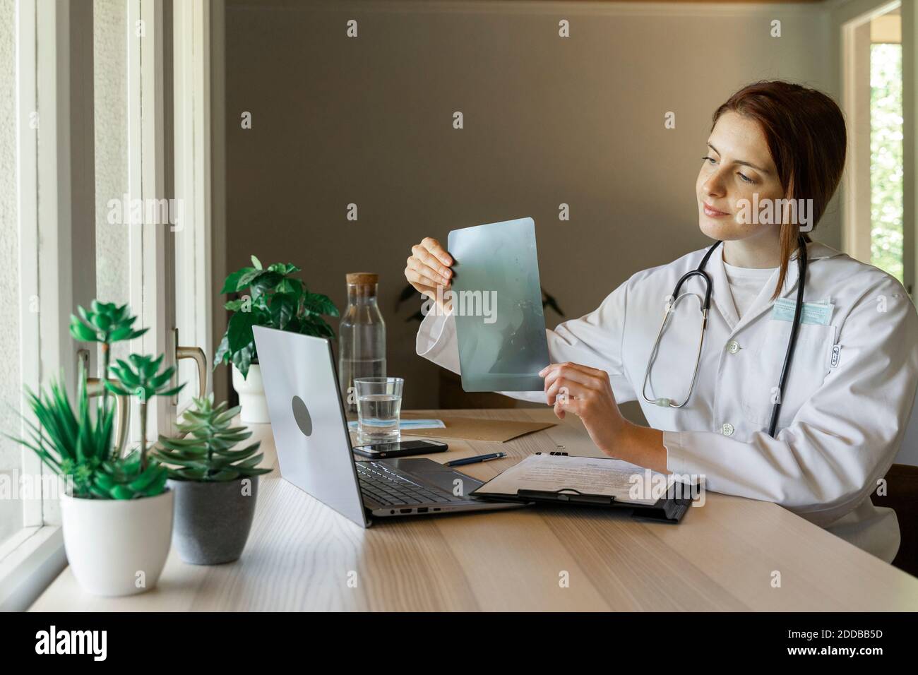 Junge Ärztin zeigt Röntgenaufnahmen während der Online-Konsultation von zu Hause aus Büro Stockfoto