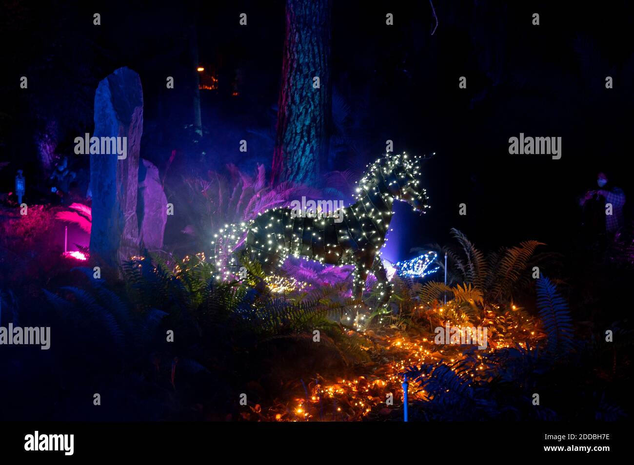 Madrid, Spanien. November 2020. Ein beleuchtetes Einhorn in der Lichtausstellung "Naturaleza Encendida" im Royal Botanical Garden als Teil der Weihnachtsbeleuchtung. Quelle: Marcos del Mazo/Alamy Live News Stockfoto