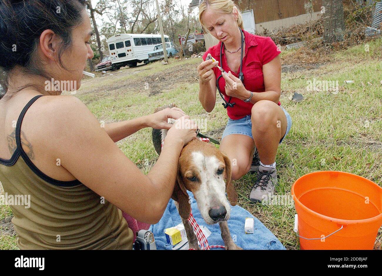 KEIN FILM, KEIN VIDEO, KEIN Fernsehen, KEIN DOKUMENTARFILM - Volunteer Tierärztin Dr. Anne Scholl, rechts, und ihre Assistentin Yady Avila, Wer aus Orlando, Florida, fuhr, um bei den Genesungsbemühungen im Gefolge des Hurrikans Katrina zu helfen, verabreichte Antibiotika und Schmerzmittel an einen Hund, der von einem Rettungsarbeiter am Freitag Nachmittag, 9. September 2005, in Slidell, Mississippi, gefunden wurde. Foto von Brian Blanco/Biloxi Sun Herald/KRT/ABACAPRESS.COM Stockfoto