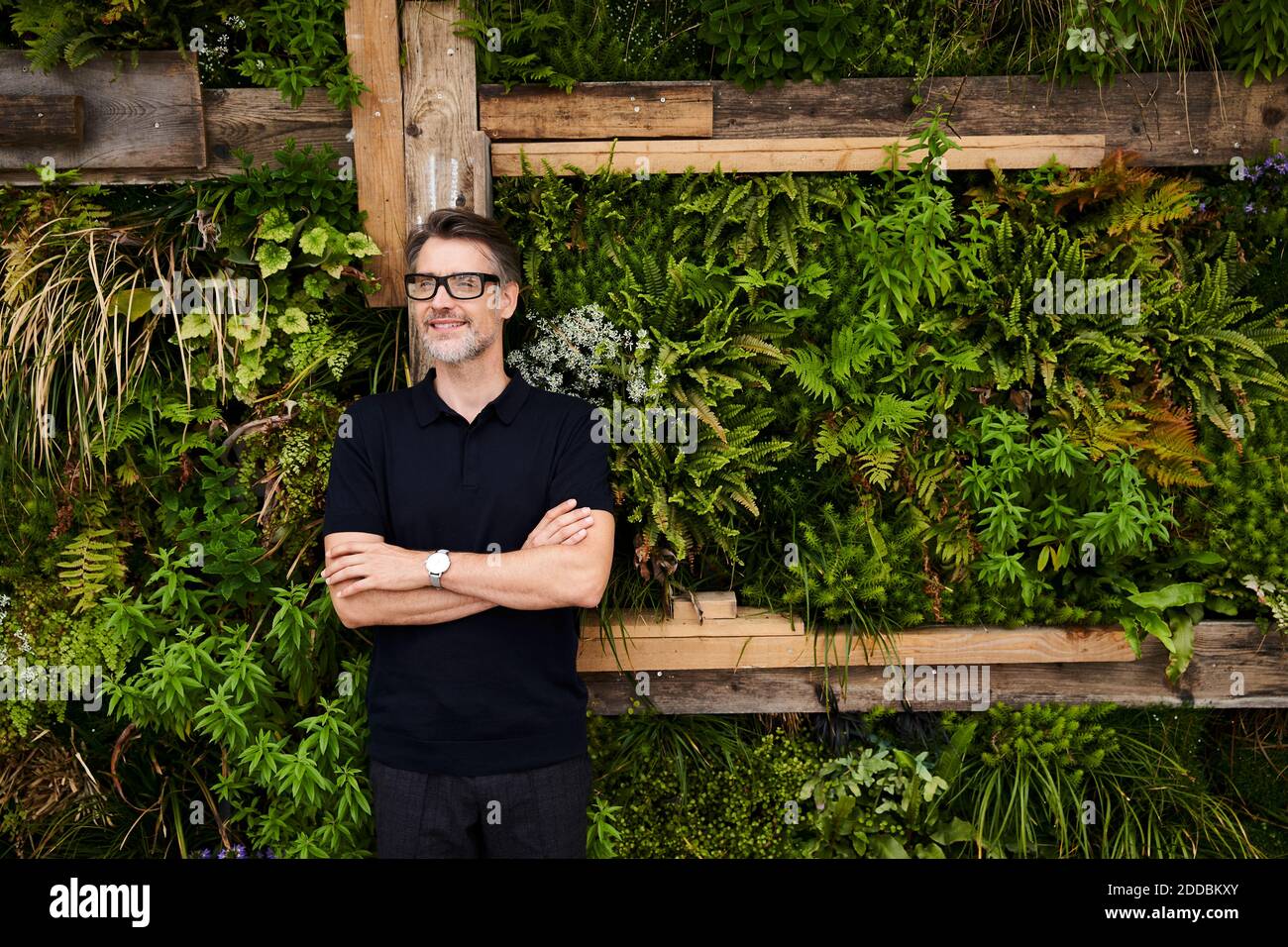 Lächelnder Mann, der mit gekreuzten Armen gegen die grüne Pflanzenwand steht Stockfoto