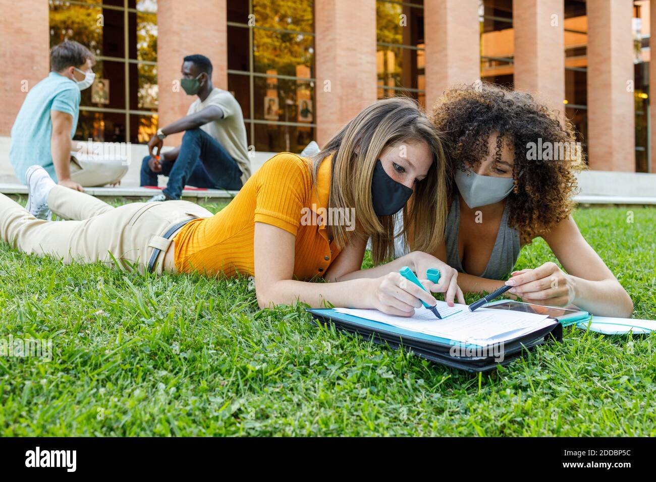 Männliche und weibliche Freunde tragen Sicherheitsmaske während des Studiums über Gras auf dem Universitätscampus Stockfoto