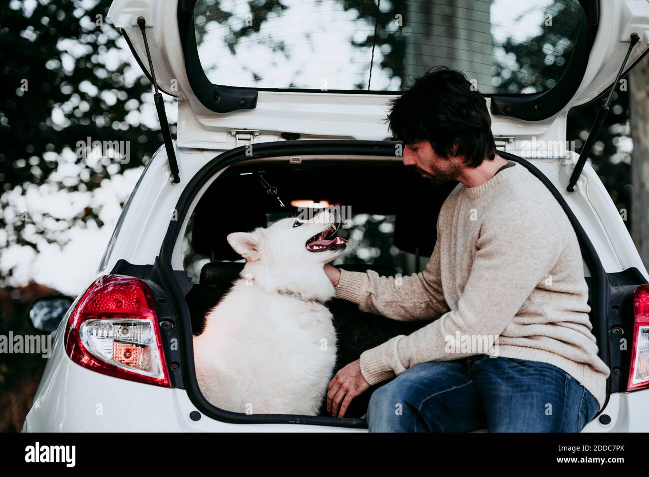 Mann, der mit Hund im Kofferraum am Wald sitzt Stockfoto